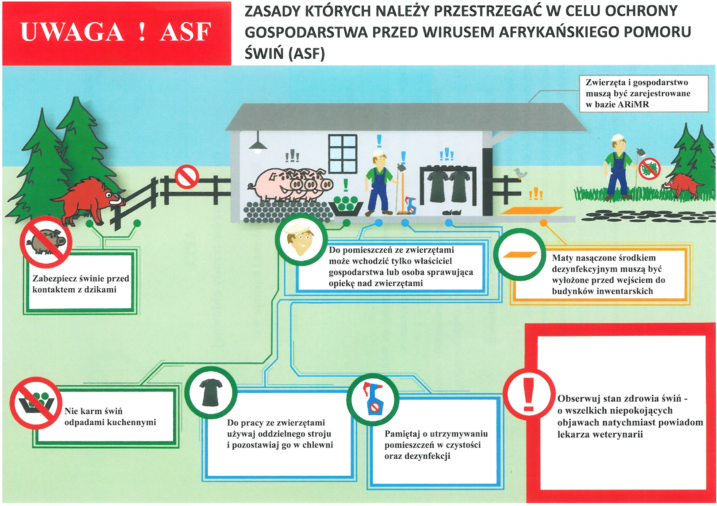 uwaga asf - zasady których należy przestrzegać