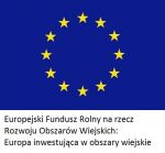 flaga unii europejskiej