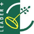 logo Leader