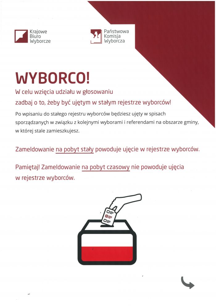 wybory