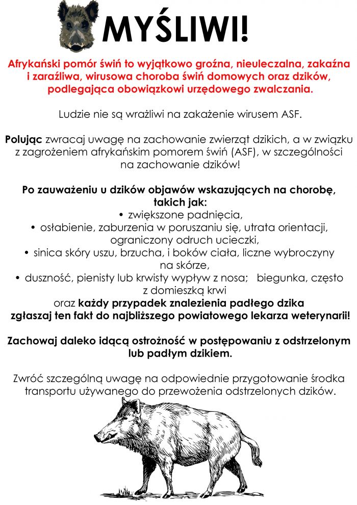 afrykański pomór świń - myśliwi