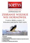 Zebranie Wiejskie Sołectwa Hornówek, 09.07.2020 r.